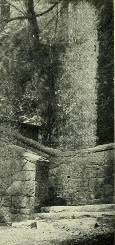 An illustration from Architect and engineer, 1905, leaf 367
