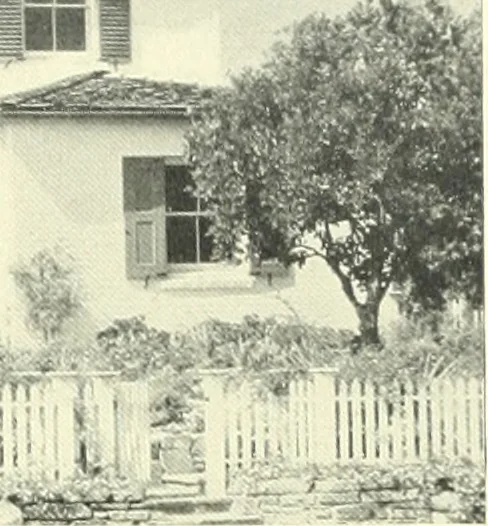 An illustration from Architect and engineer, 1905, leaf 590
