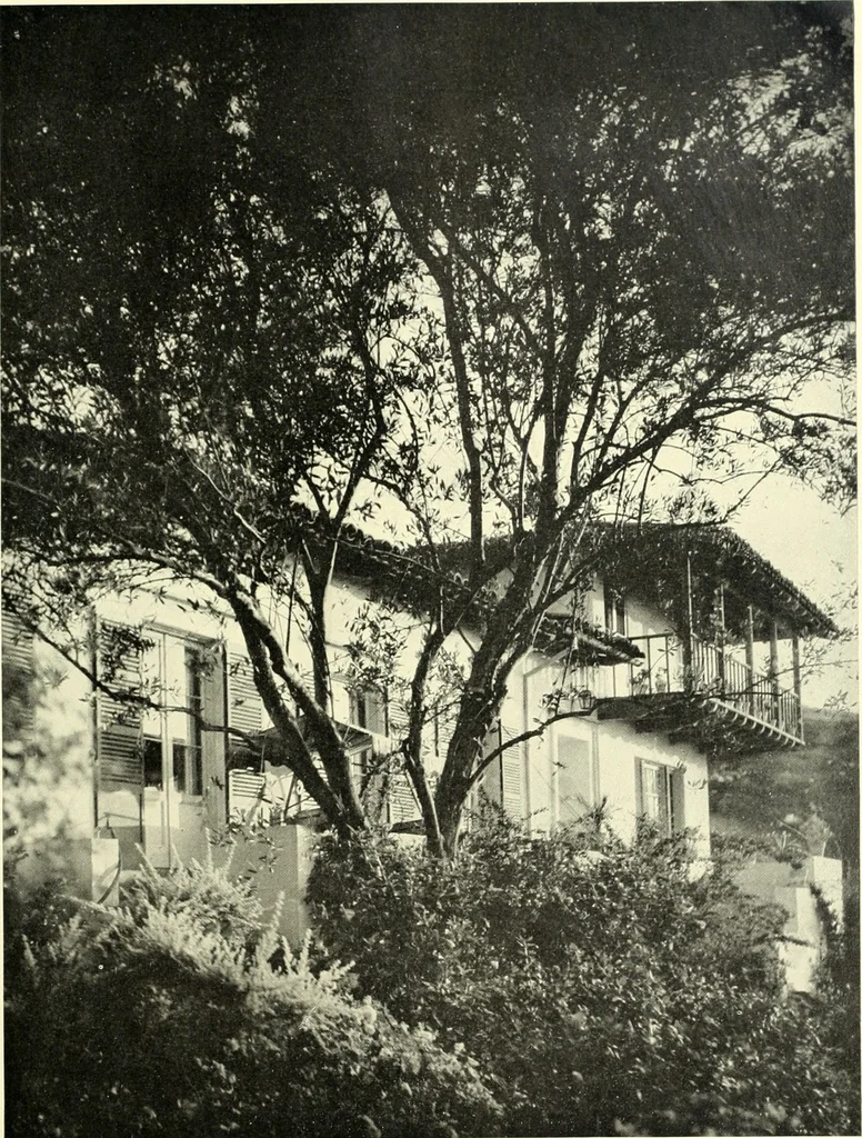 An illustration from Architect and engineer, 1905, leaf 600
