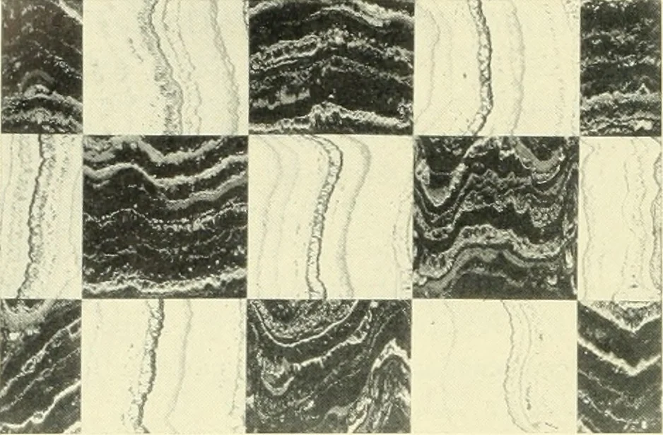 An illustration from Architect and engineer, 1905, leaf 649
