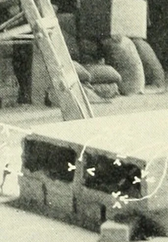 An illustration from Architect and engineer, 1905, leaf 73