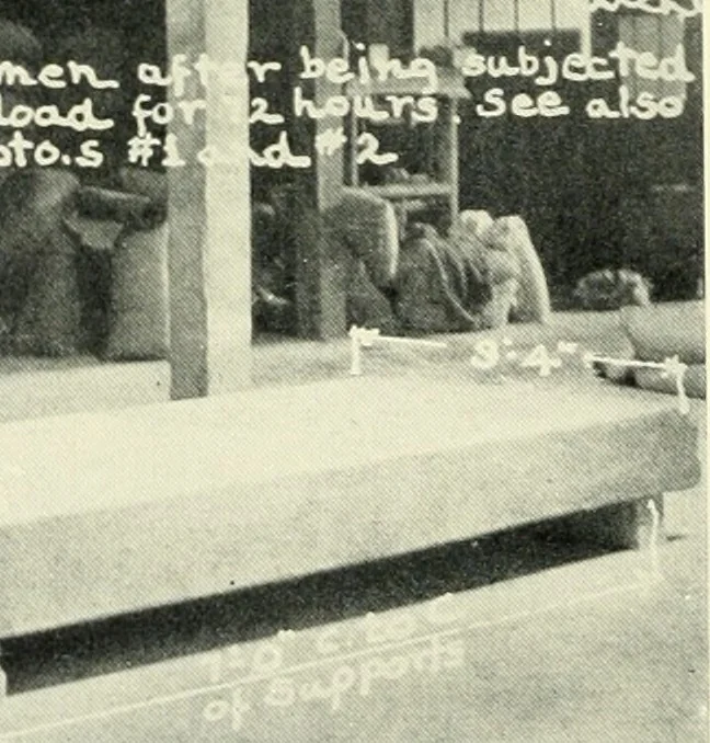 An illustration from Architect and engineer, 1905, leaf 73