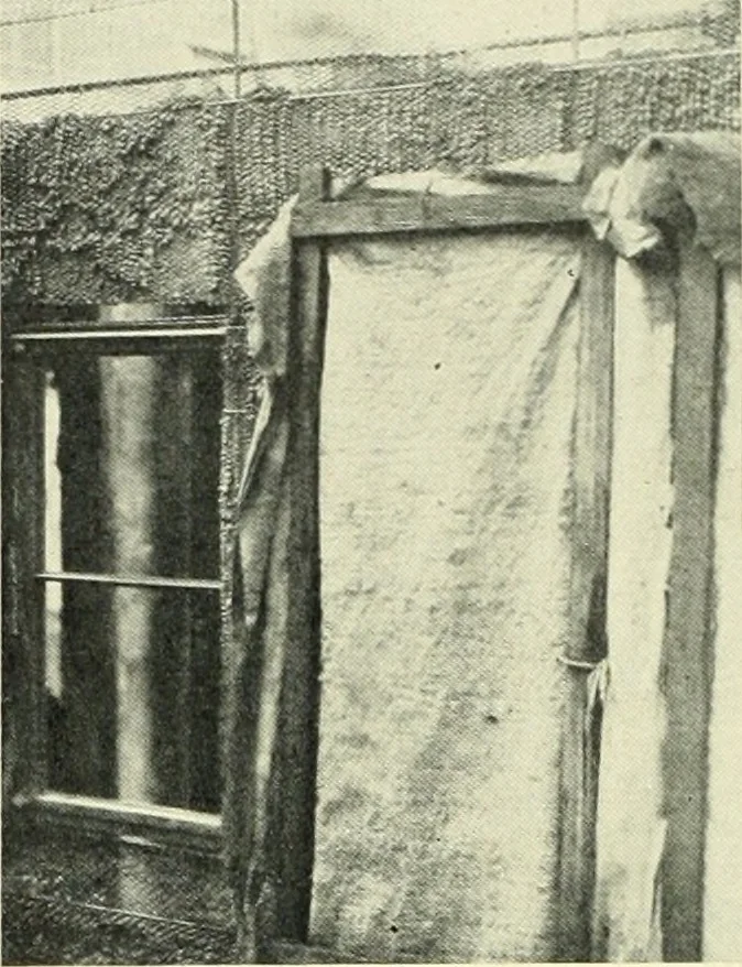 An illustration from Architect and engineer, 1905, leaf 77