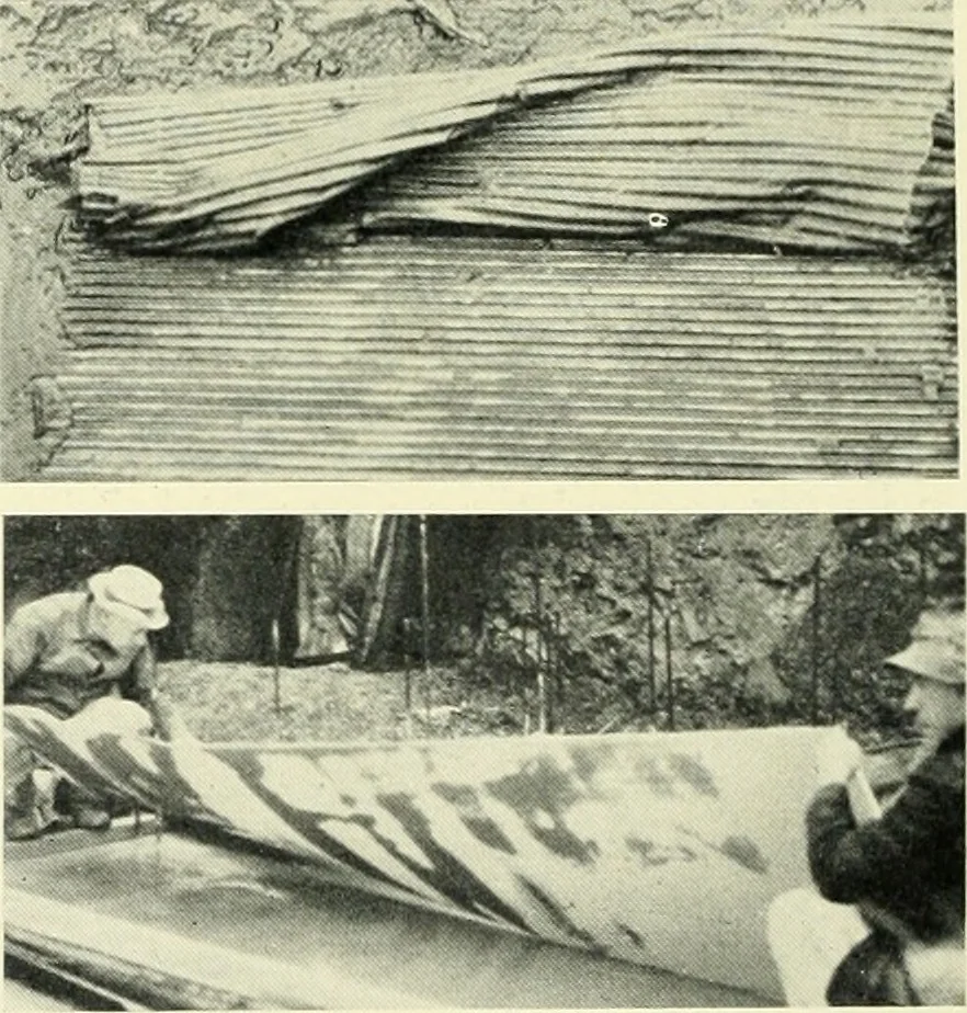 An illustration from Architect and engineer, 1905, leaf 77
