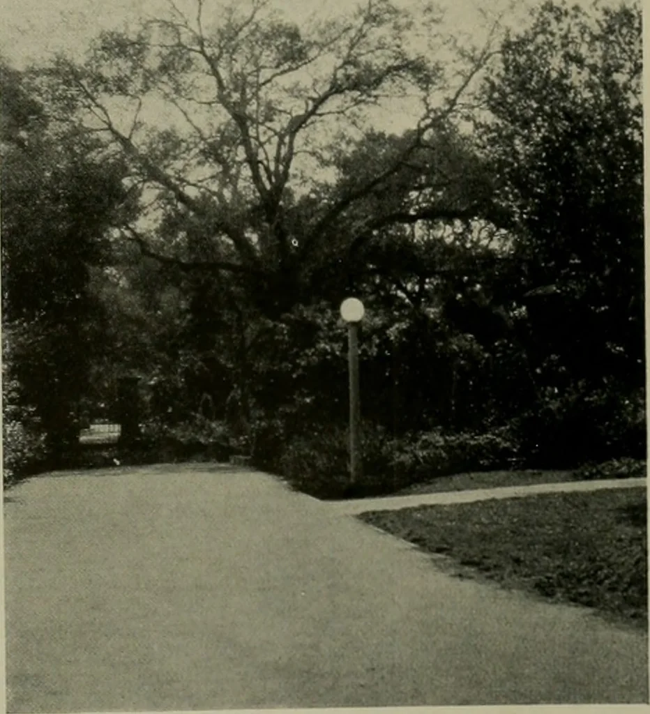 An illustration from Architect and engineer, 1905, leaf 158