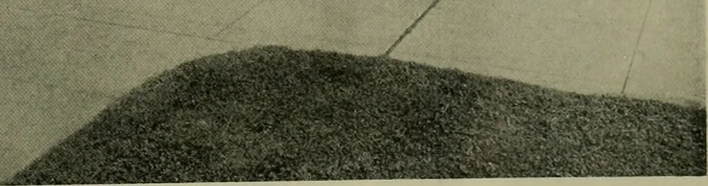 An illustration from Architect and engineer, 1905, leaf 18