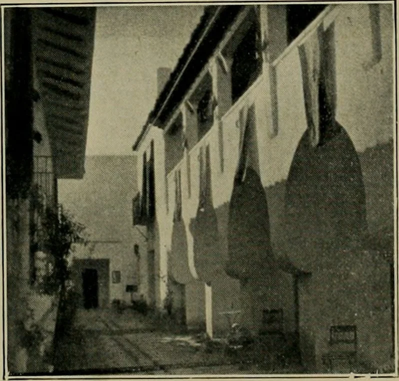 An illustration from Architect and engineer, 1905, leaf 257