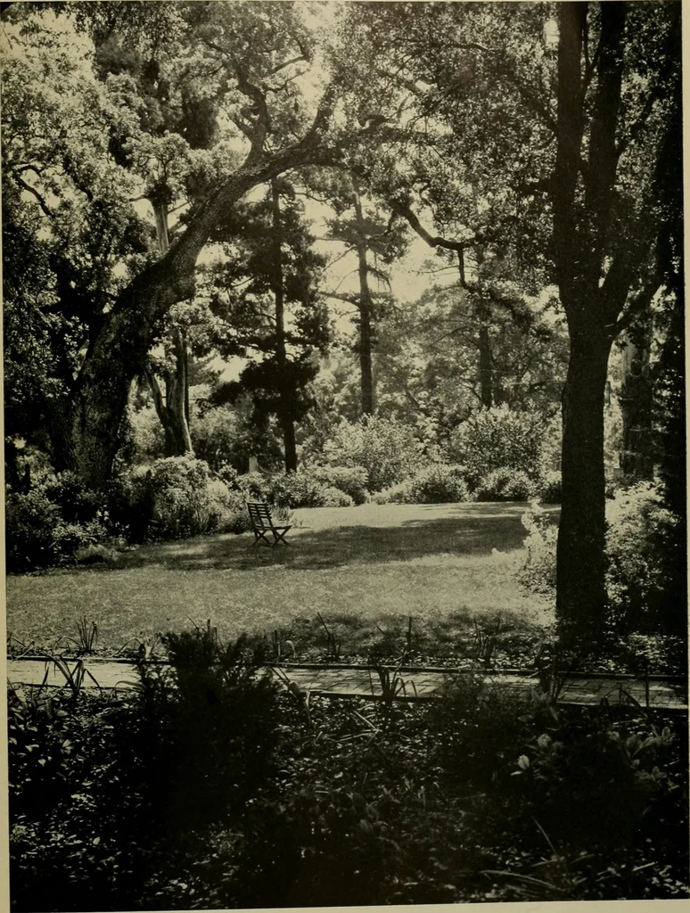 An illustration from Architect and engineer, 1905, leaf 40