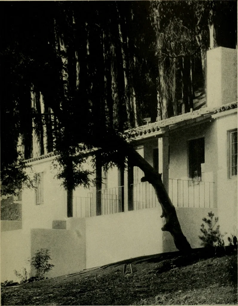 An illustration from Architect and engineer, 1905, leaf 426