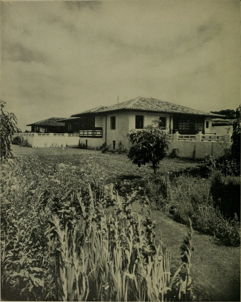 An illustration from Architect and engineer, 1905, leaf 133