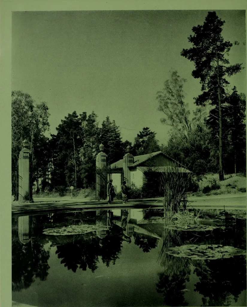 An illustration from Architect and engineer, 1905, leaf 181