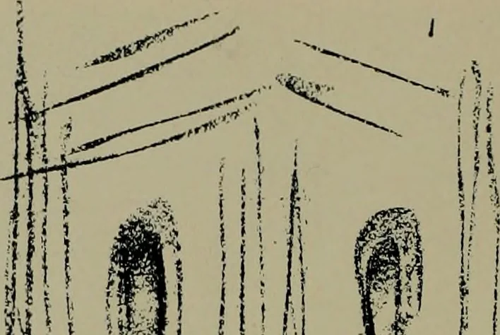 An illustration from Architect and engineer, 1905, leaf 209