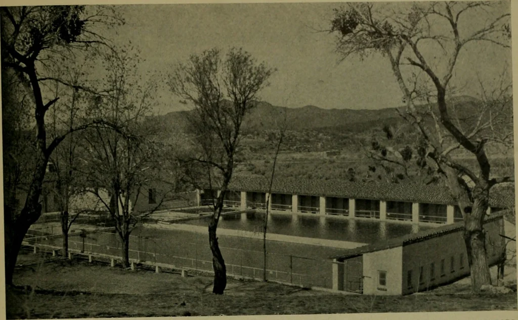 An illustration from Architect and engineer, 1905, leaf 486