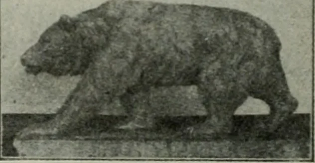 An illustration from The Architect & engineer of California and the Pacific Coast, 1905, leaf 187