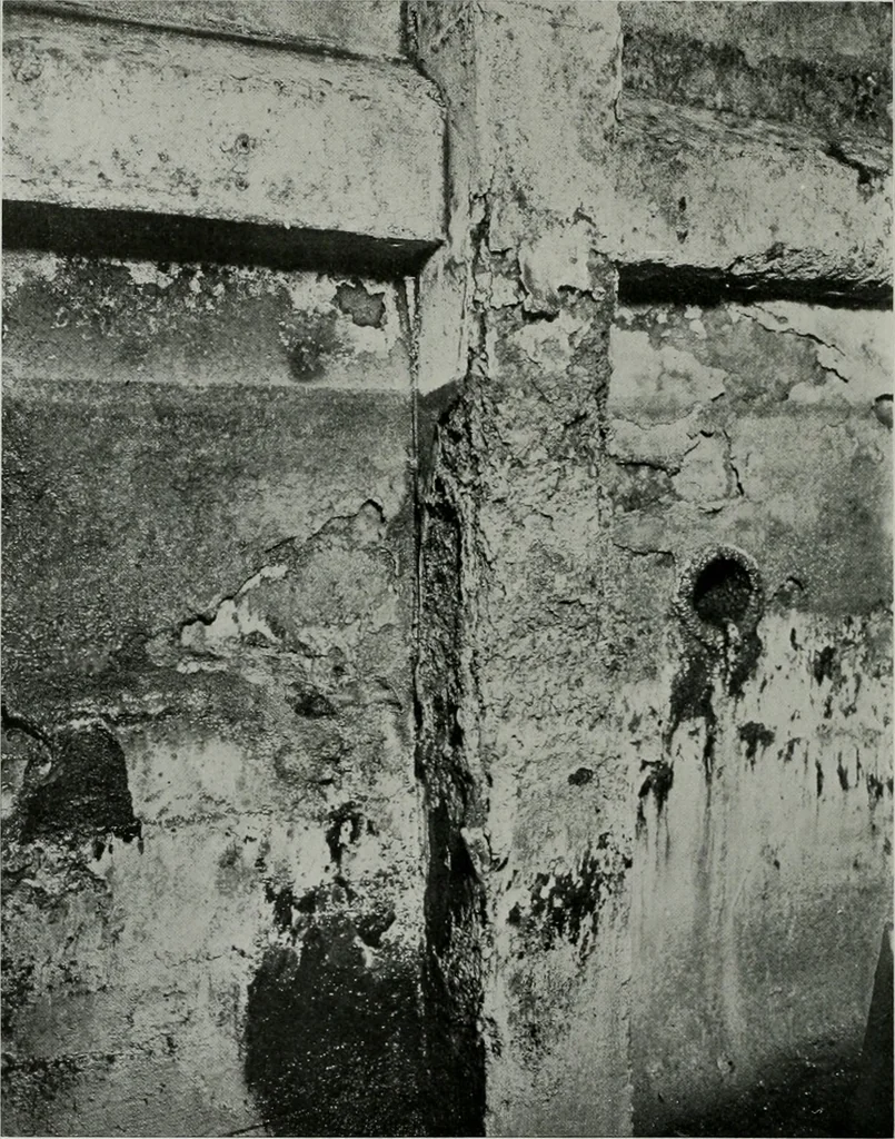 An illustration from The Architect & engineer of California and the Pacific Coast, 1905, leaf 233