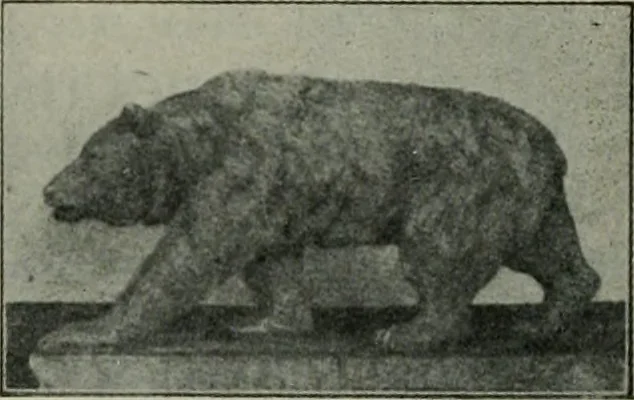 An illustration from The Architect & engineer of California and the Pacific Coast, 1905, leaf 345