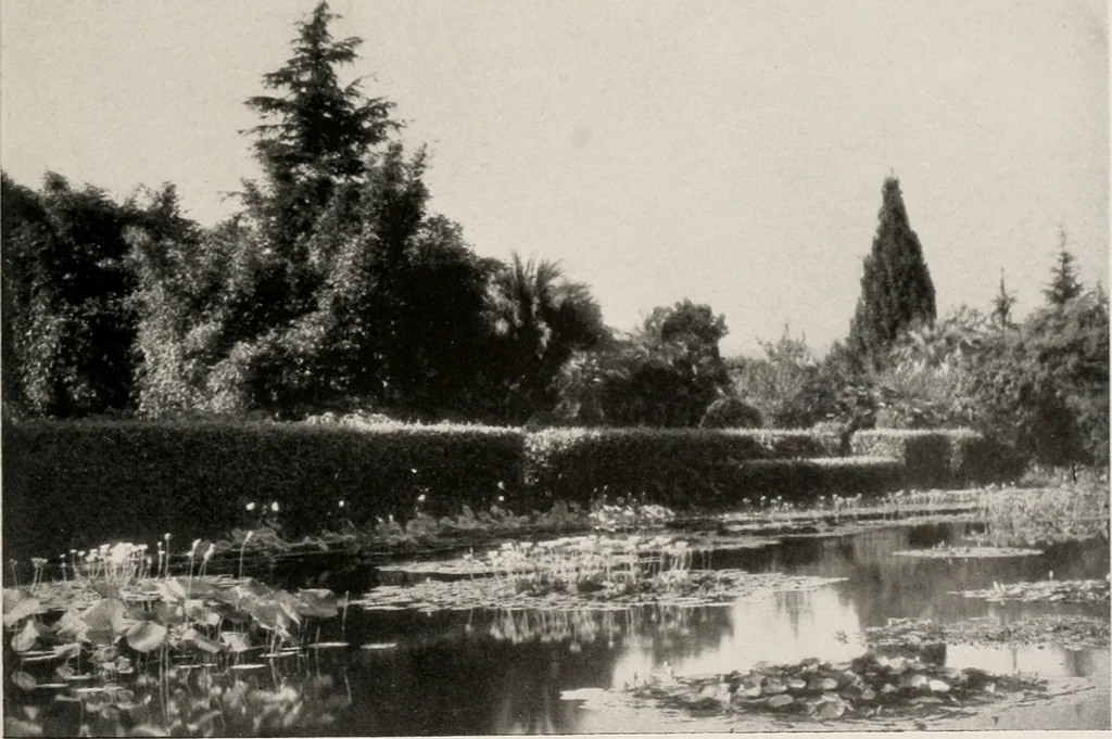 An illustration from Architect and engineer, 1905, leaf 308
