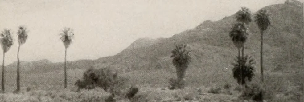An illustration from Architect and engineer, 1905, leaf 94