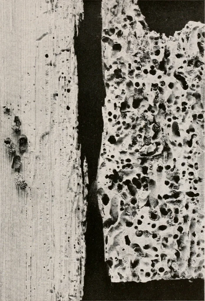 An illustration from Architect and engineer, 1905, leaf 333