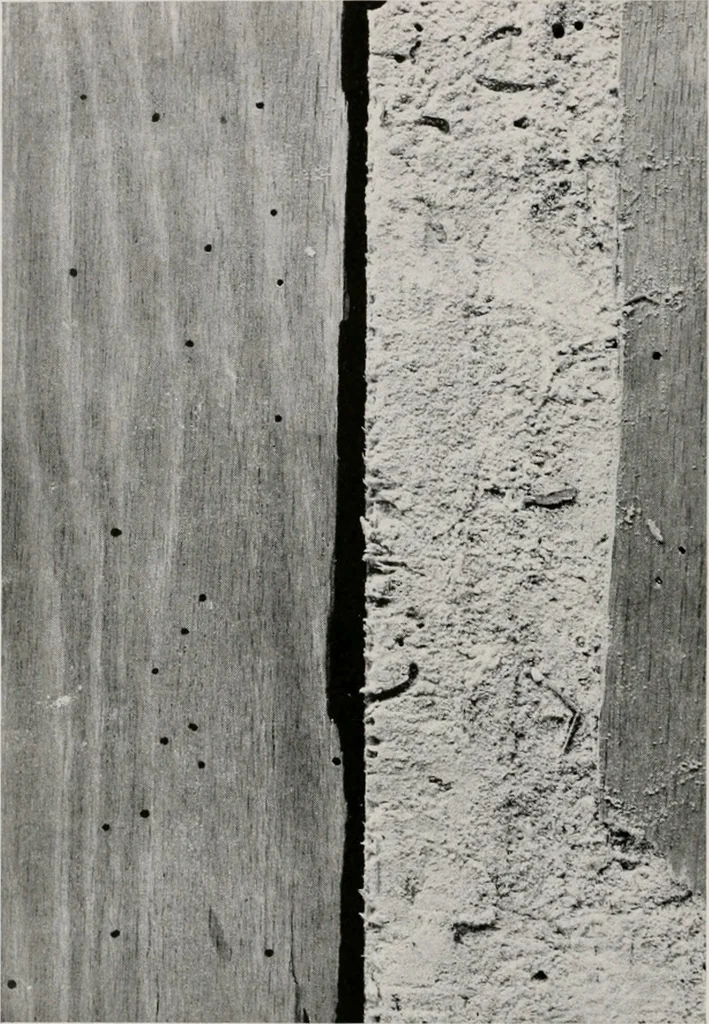 An illustration from Architect and engineer, 1905, leaf 334