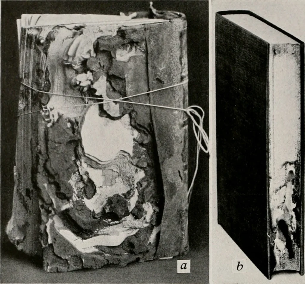 An illustration from Architect and engineer, 1905, leaf 398