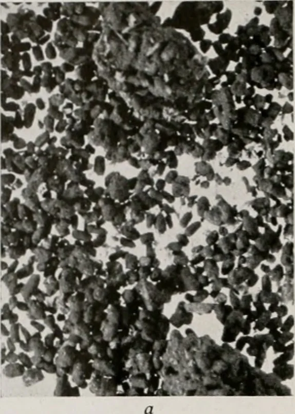 An illustration from Architect and engineer, 1905, leaf 400