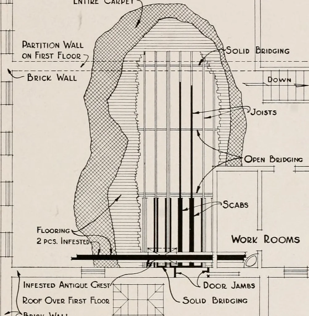 An illustration from Architect and engineer, 1905, leaf 401