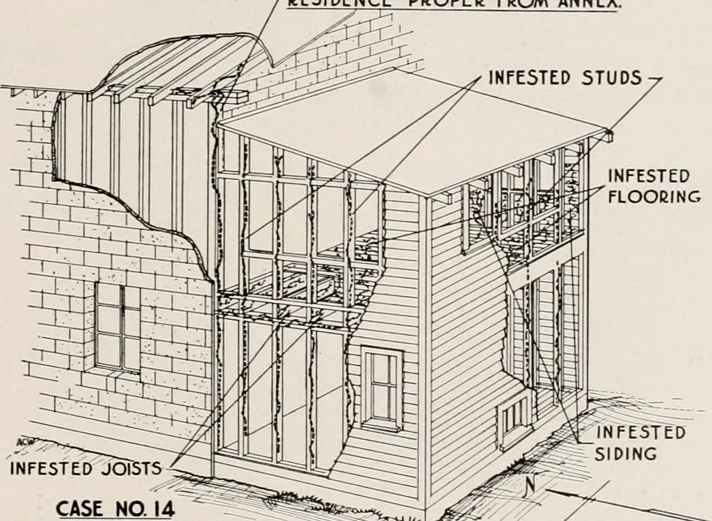 An illustration from Architect and engineer, 1905, leaf 405