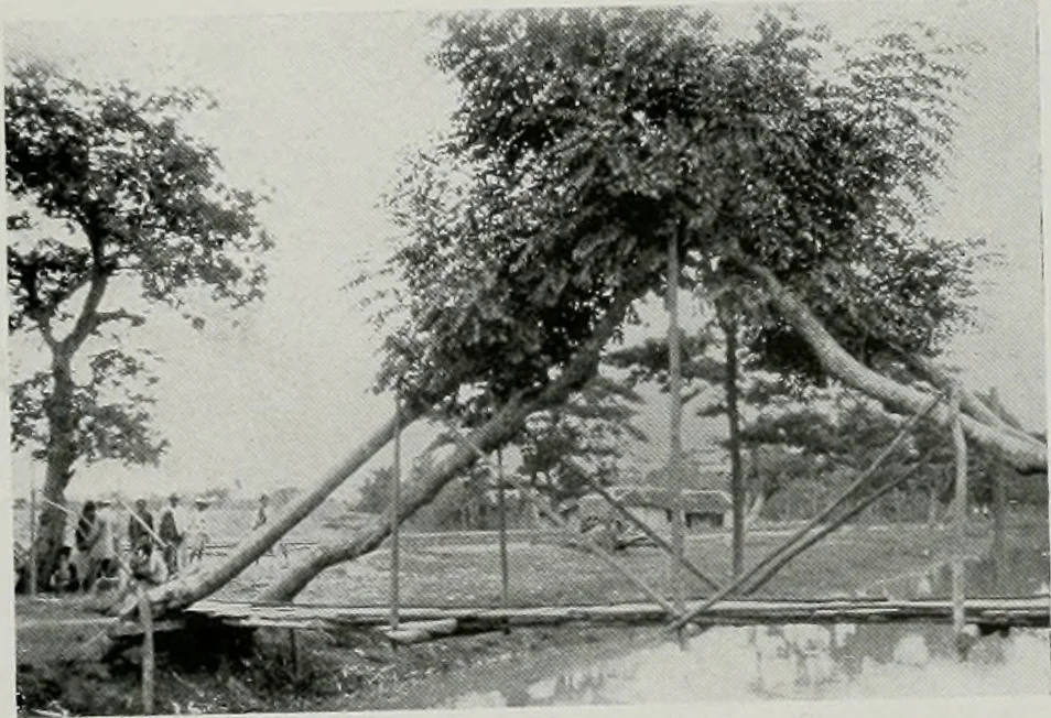 An illustration from Architect and engineer, 1905, leaf 106