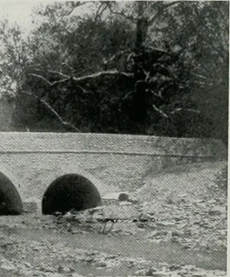 An illustration from Architect and engineer, 1905, leaf 109
