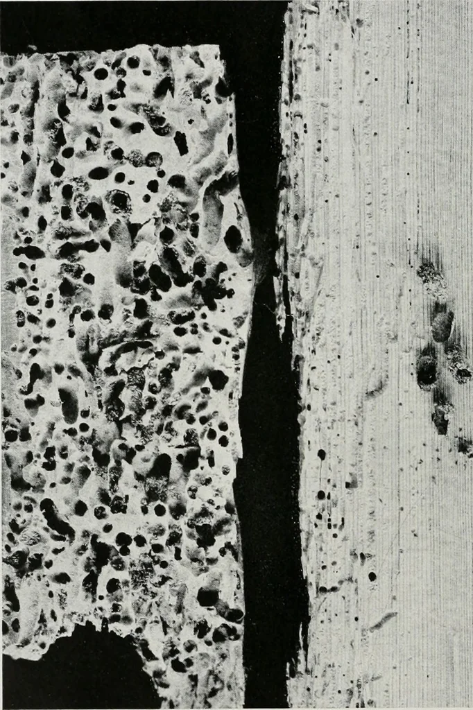 An illustration from Architect and engineer, 1905, leaf 115