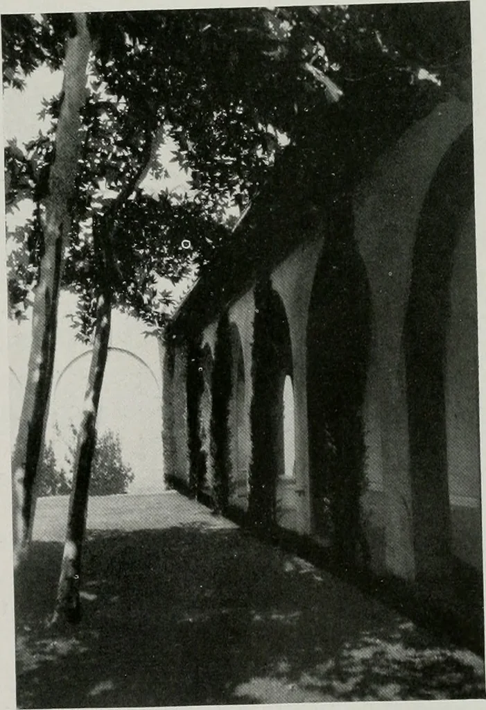 An illustration from Architect and engineer, 1905, leaf 228