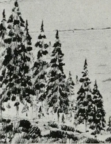 An illustration from Architect and engineer, 1905, leaf 273