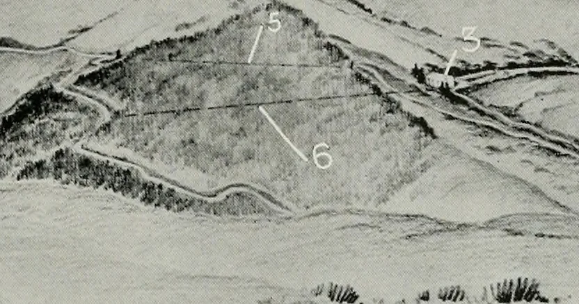 An illustration from Architect and engineer, 1905, leaf 274