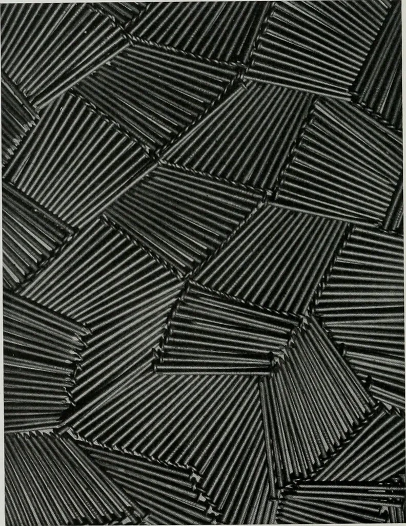 An illustration from Architect and engineer, 1905, leaf 33