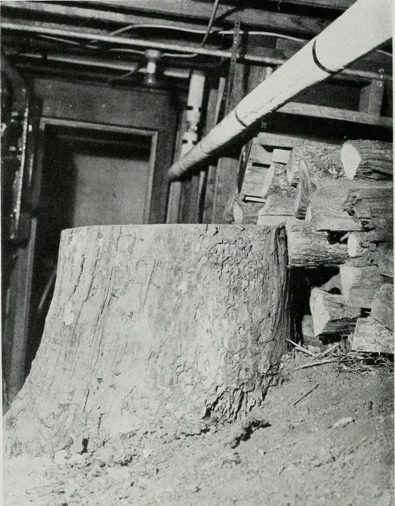 An illustration from Architect and engineer, 1905, leaf 35