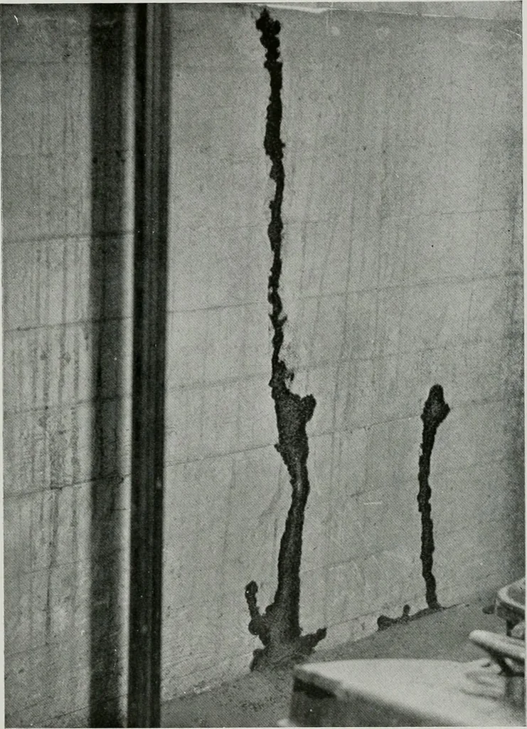 An illustration from Architect and engineer, 1905, leaf 36