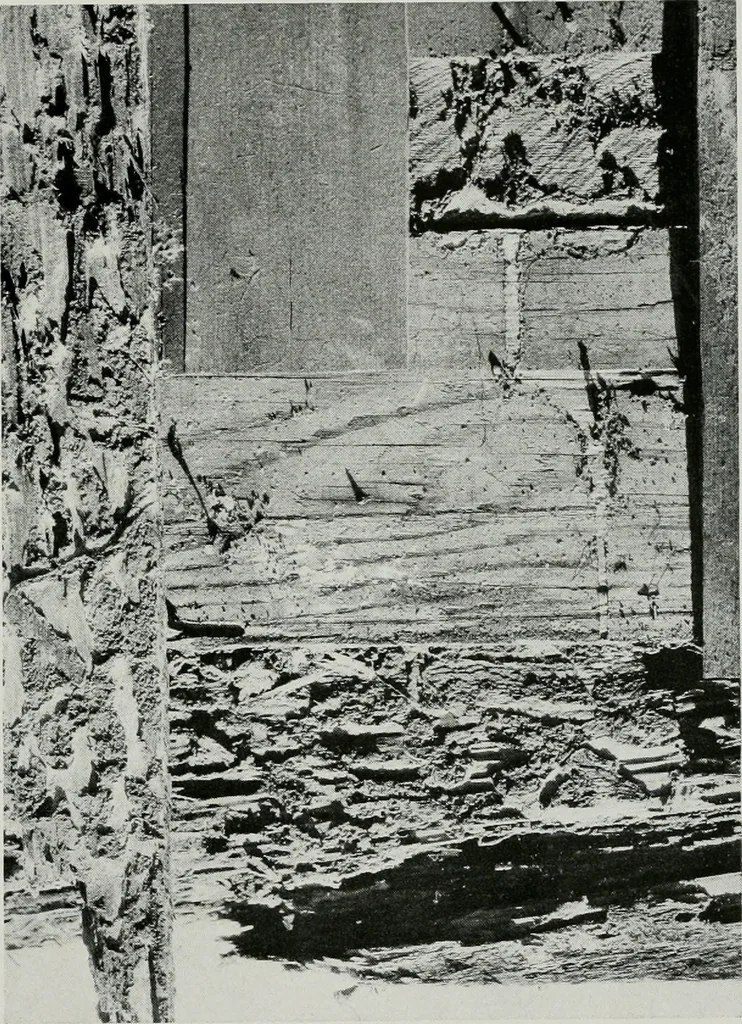 An illustration from Architect and engineer, 1905, leaf 38