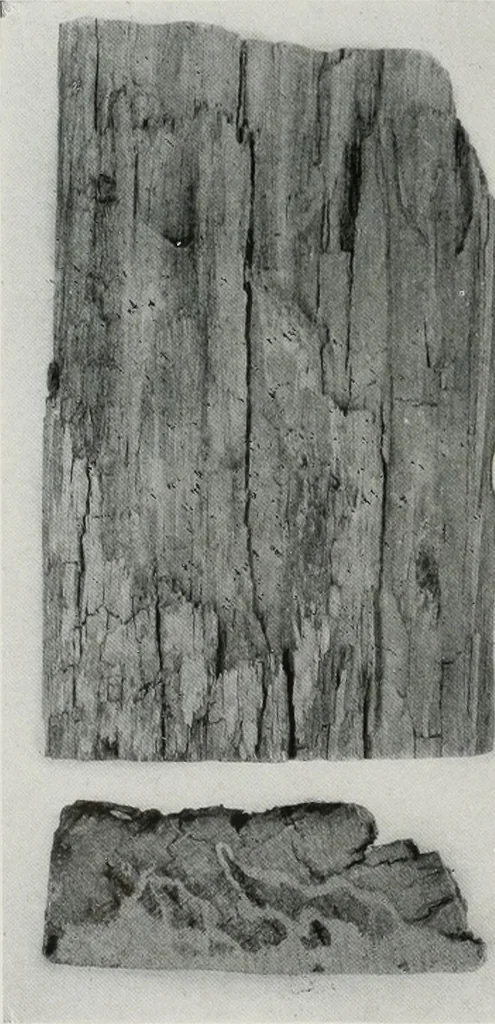 An illustration from Architect and engineer, 1905, leaf 405