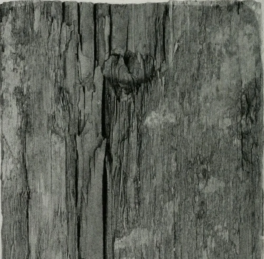 An illustration from Architect and engineer, 1905, leaf 405