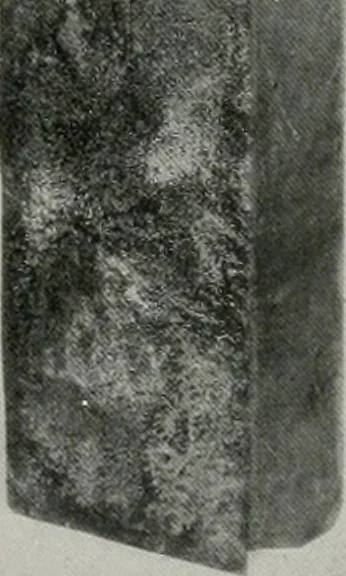 An illustration from Architect and engineer, 1905, leaf 410