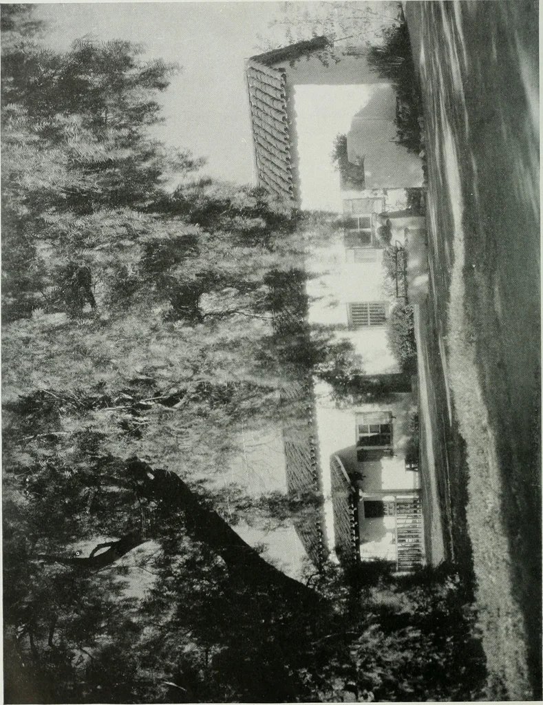 An illustration from Architect and engineer, 1905, leaf 101