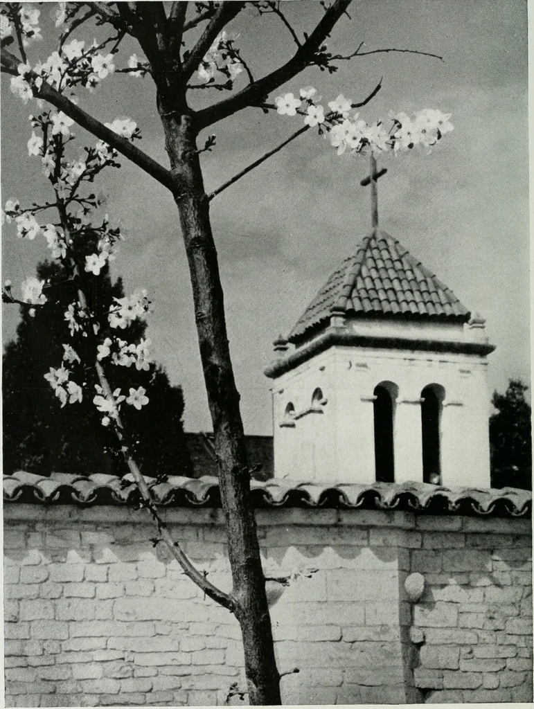 An illustration from Architect and engineer, 1905, leaf 107