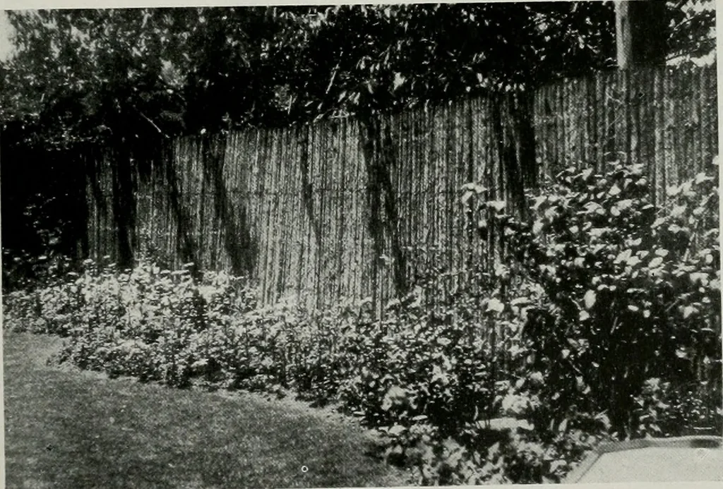An illustration from Architect and engineer, 1905, leaf 138