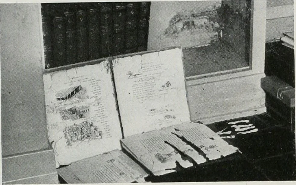 An illustration from Architect and engineer, 1905, leaf 203