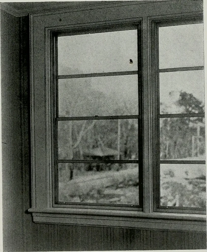 An illustration from Architect and engineer, 1905, leaf 278