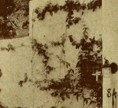 An illustration from Architect and engineer, 1905, leaf 302