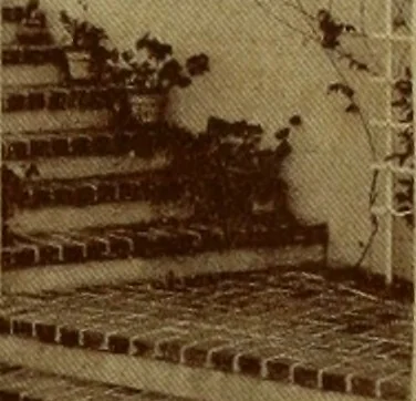 An illustration from Architect and engineer, 1905, leaf 302