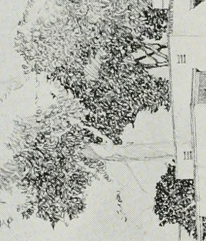 An illustration from Architect and engineer, 1905, leaf 321