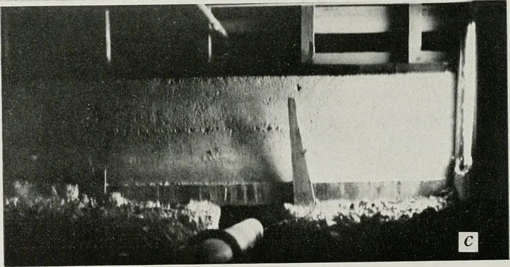 An illustration from Architect and engineer, 1905, leaf 347